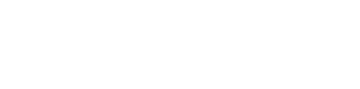 Techflow logo